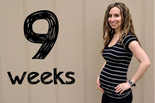 живот на 9 неделе беременности