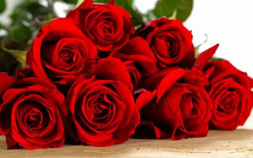 Любовь и восхищение – покупка роз для любого торжества - фото 1