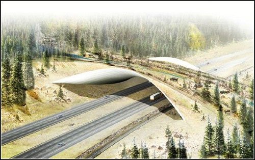 ���� ��� ��������