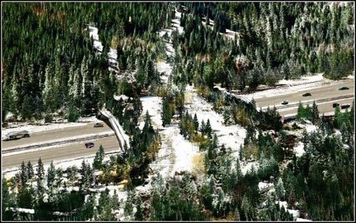 ���� ��� ��������