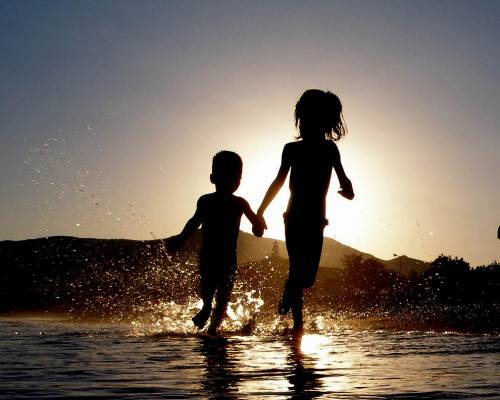 ���������� ��������� ���� - ���� 12