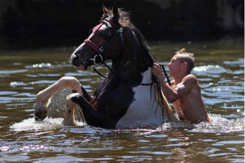 ���������� ��������� ���� - ���� 19